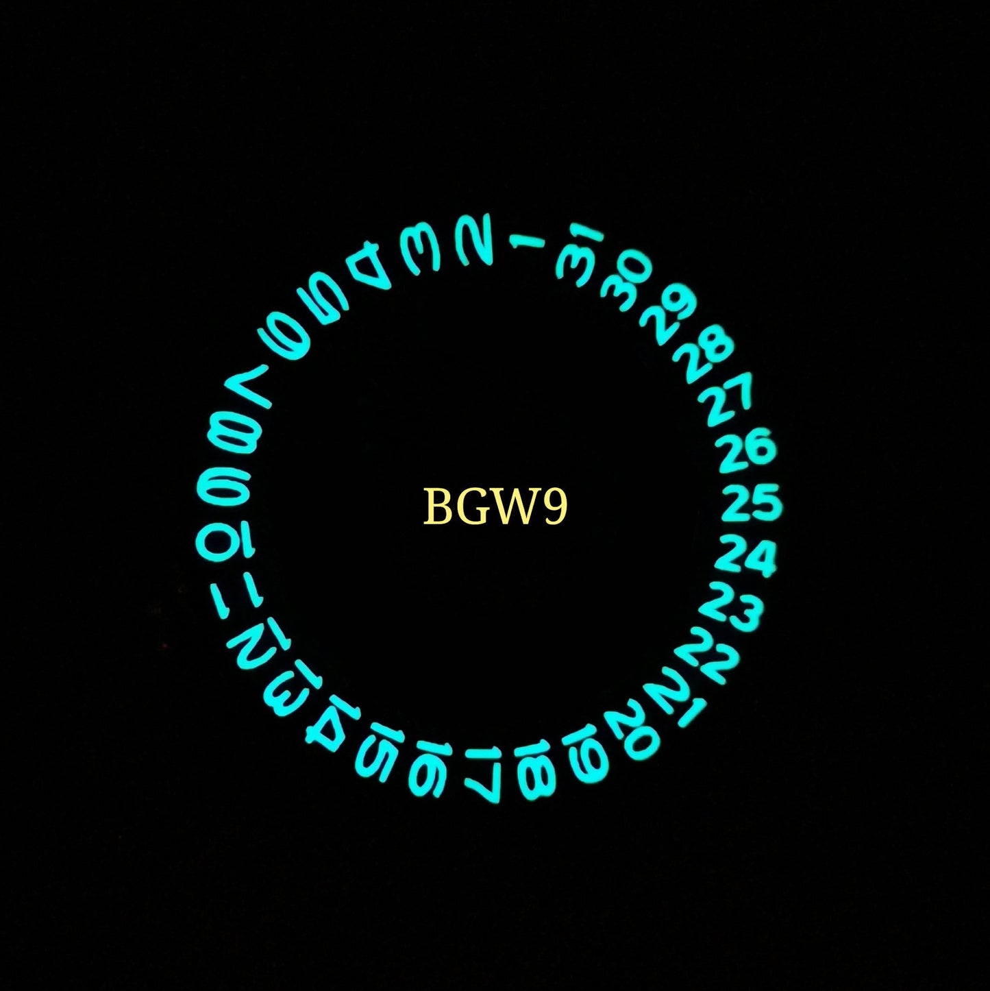 Luminous  Date Disc  BGW9